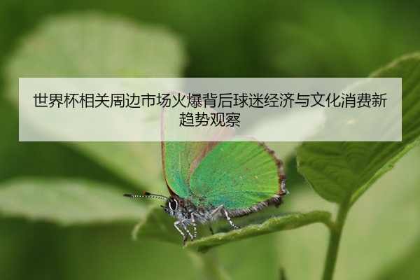 世界杯相关周边市场火爆背后球迷经济与文化消费新趋势观察