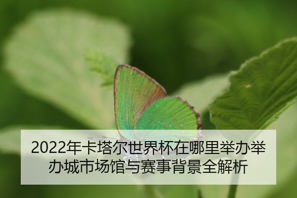 2022年卡塔尔世界杯在哪里举办举办城市场馆与赛事背景全解析