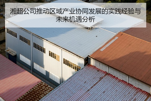 湘超公司推动区域产业协同发展的实践经验与未来机遇分析