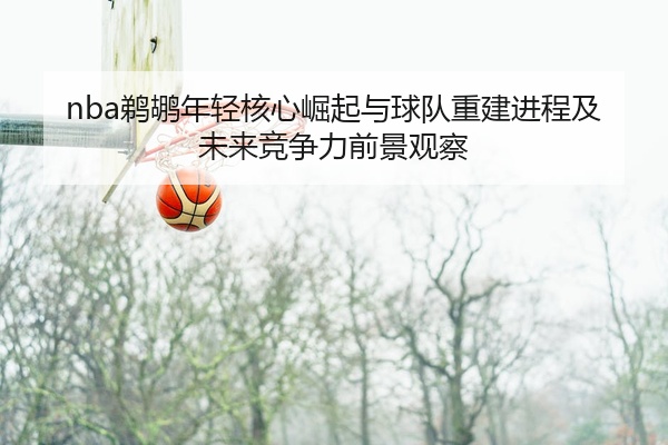 nba鹈鹕年轻核心崛起与球队重建进程及未来竞争力前景观察