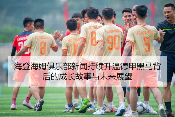 海登海姆俱乐部新闻持续升温德甲黑马背后的成长故事与未来展望